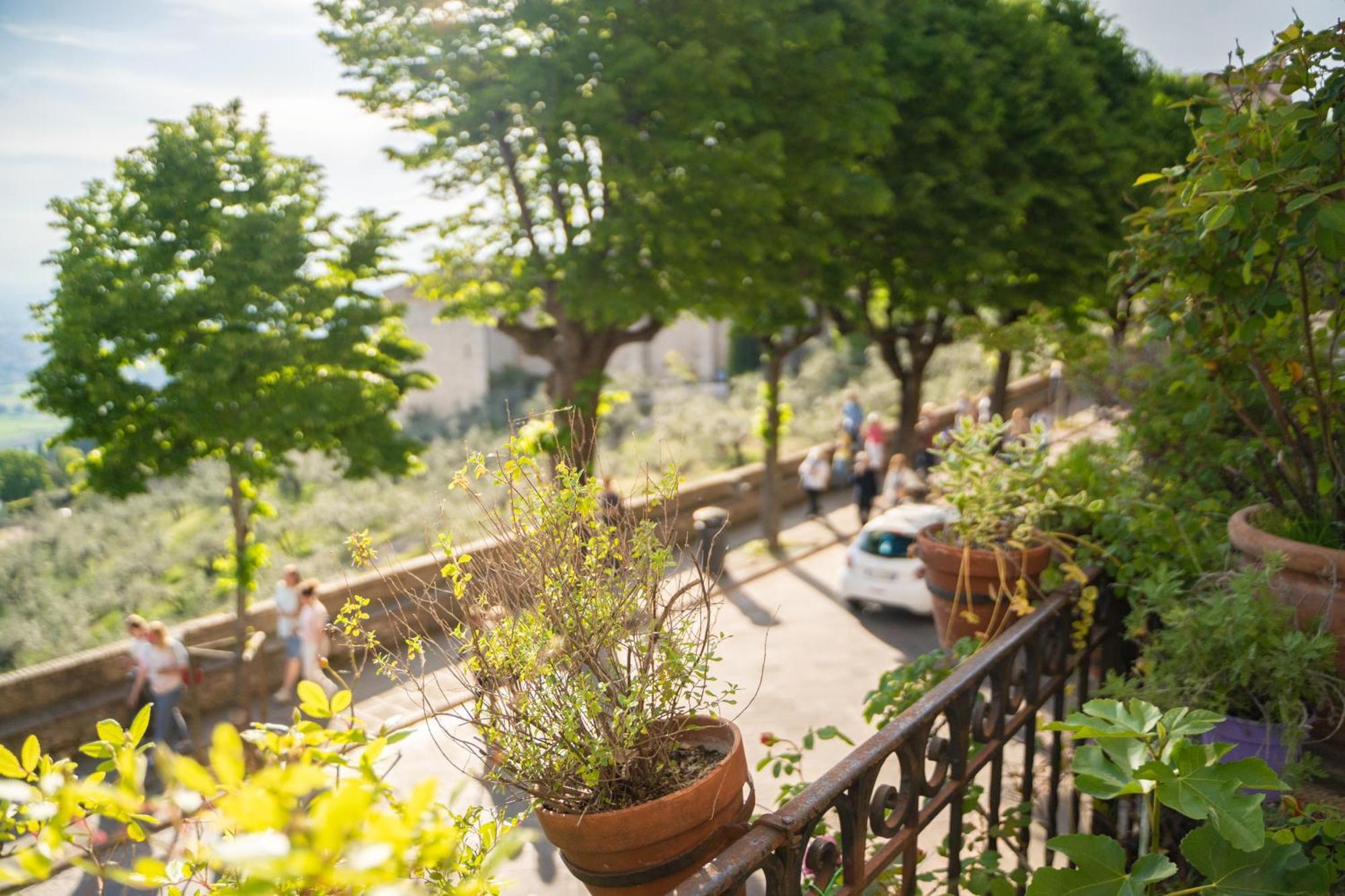 Hotel Belvedere アッシジ エクステリア 写真